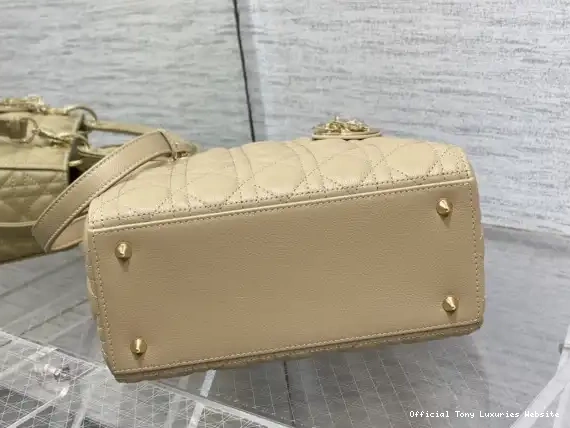 Tony Luxuries Lady diro Gold large Calfskin-24cm 0629